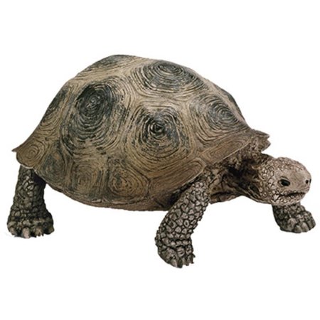 SCHLEICH NORTH AMERICA Grn Turtle 14824